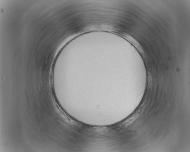 X0000060801052200512082145