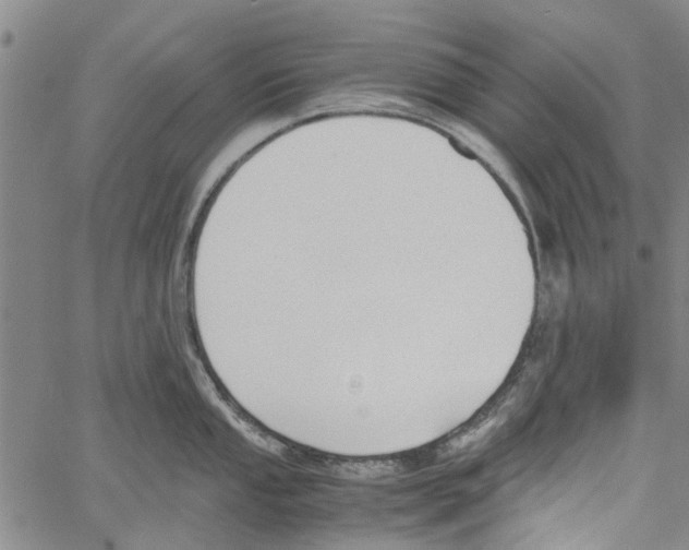 X0000060801053200512082145