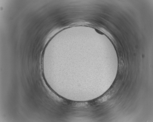 X0000060801055200512082145