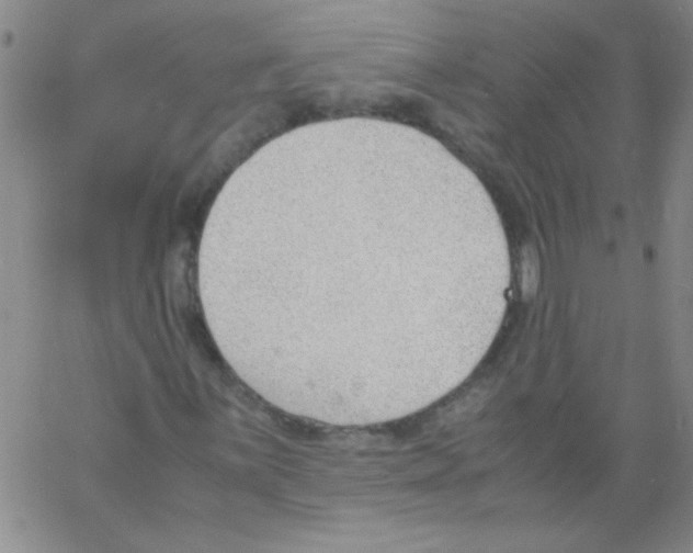 X0000060801059200512082144