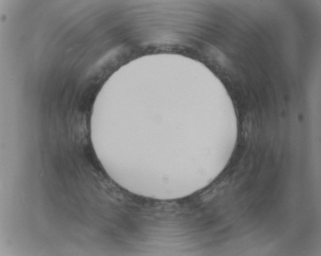 X0000060801062200512082144