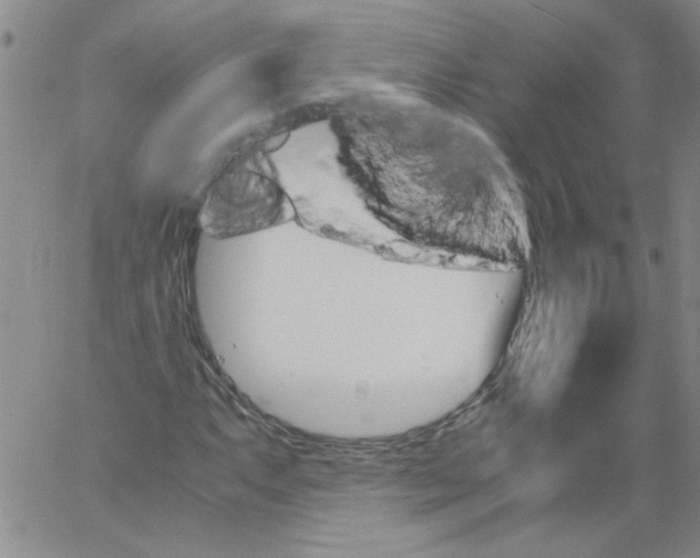 X0000060801063200512082144