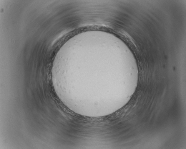 X0000060801064200512082144