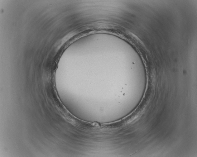 X0000060801065200512082144