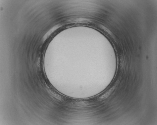 X0000060801066200512082144