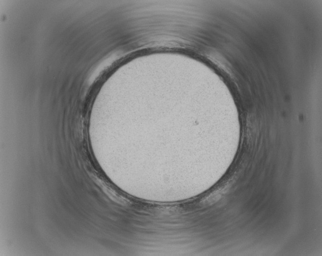 X0000060801067200512082144