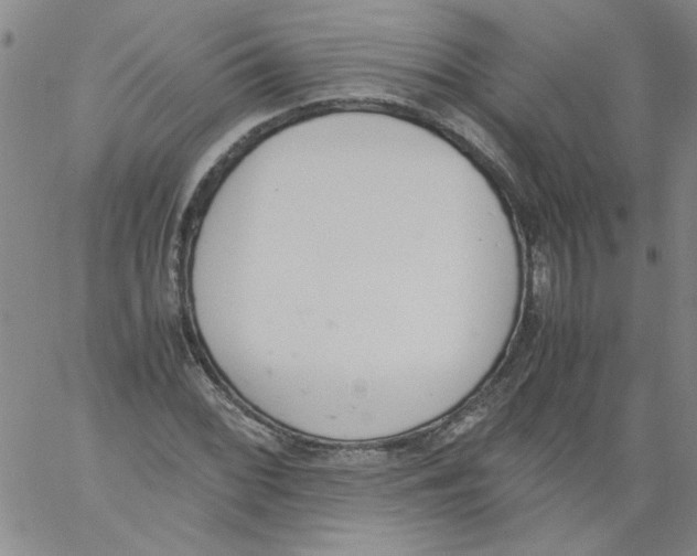 X0000060801068200512082144