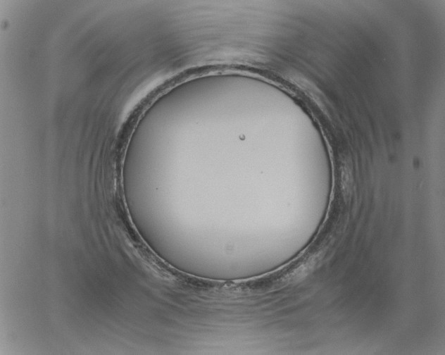 X0000060801069200512082144