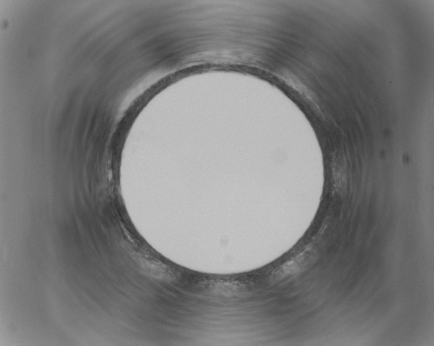 X0000060801070200512082144