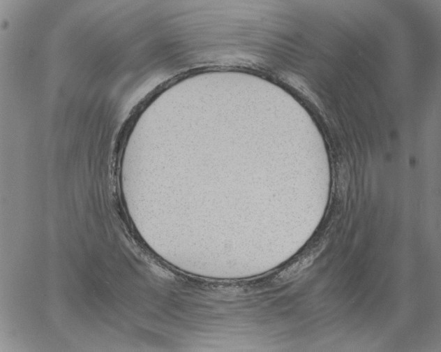 X0000060801071200512082144