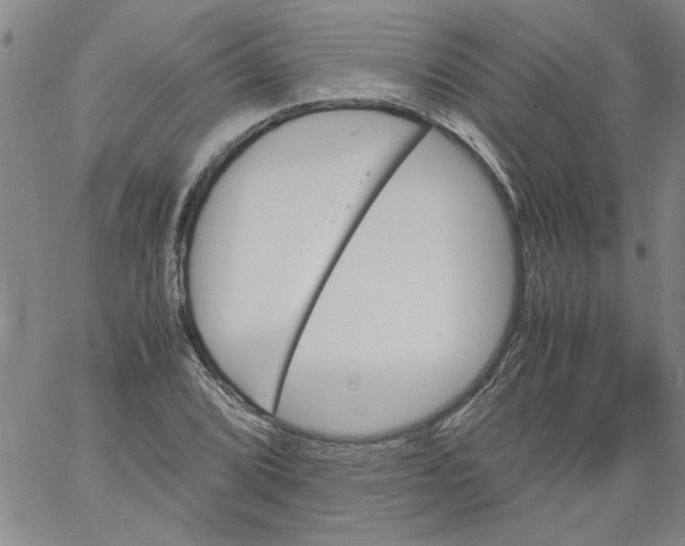 X0000060801072200512082144