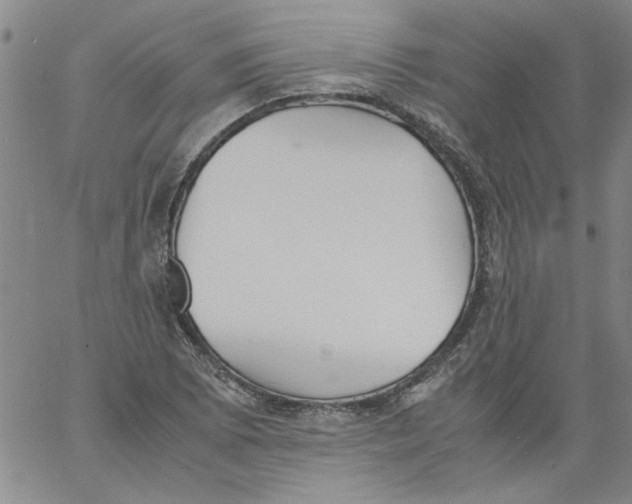 X0000060801073200512082144