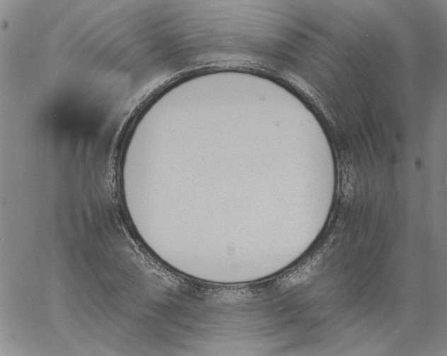 X0000060801074200512082144