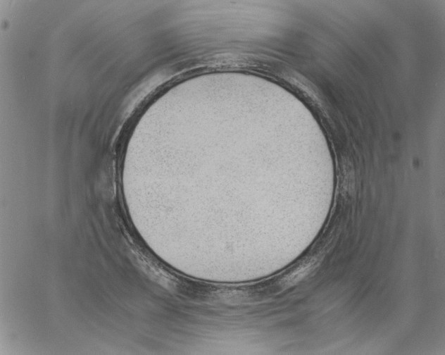 X0000060801075200512082144