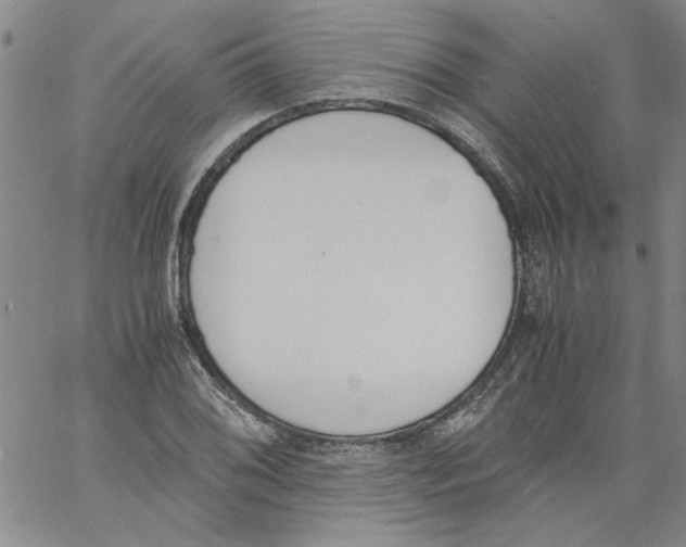 X0000060801076200512082144