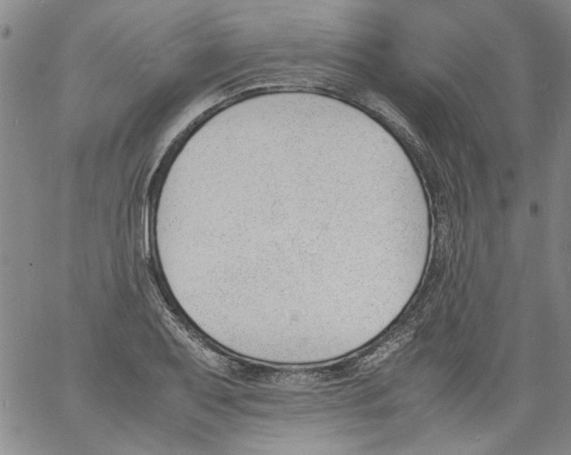 X0000060801079200512082144