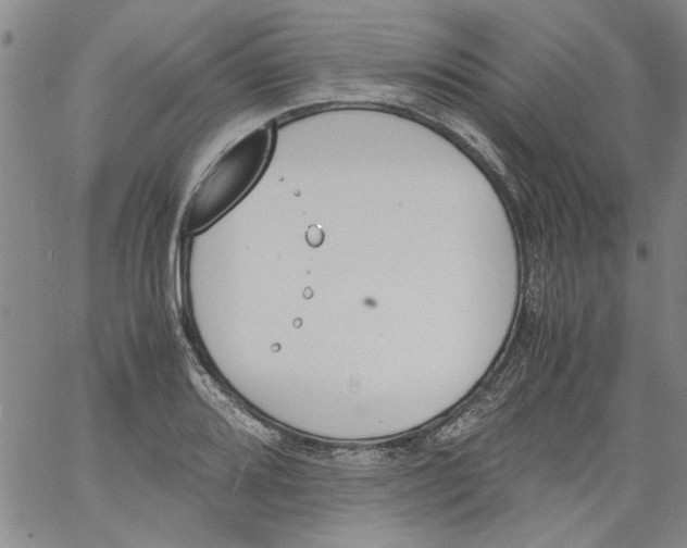 X0000060801080200512082144