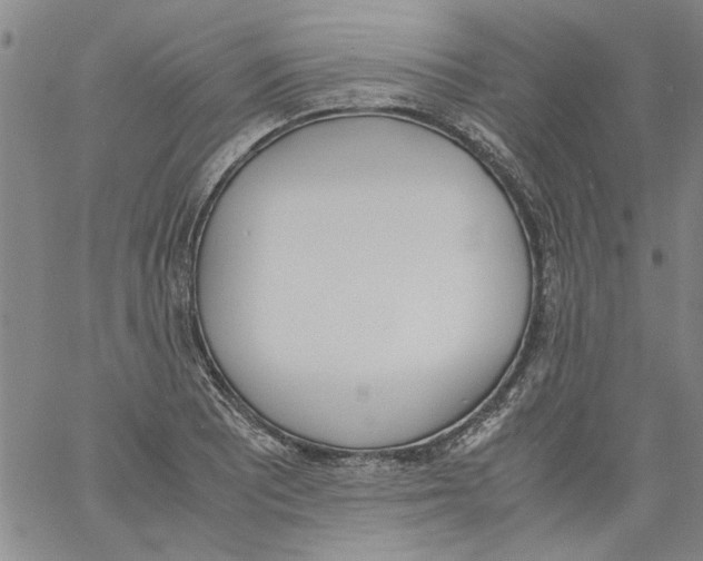 X0000060801081200512082144