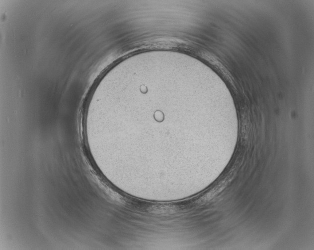 X0000060801083200512082144