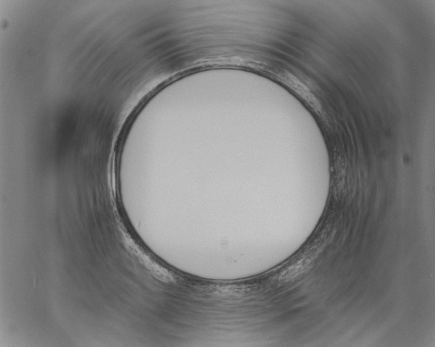 X0000060801084200512082144