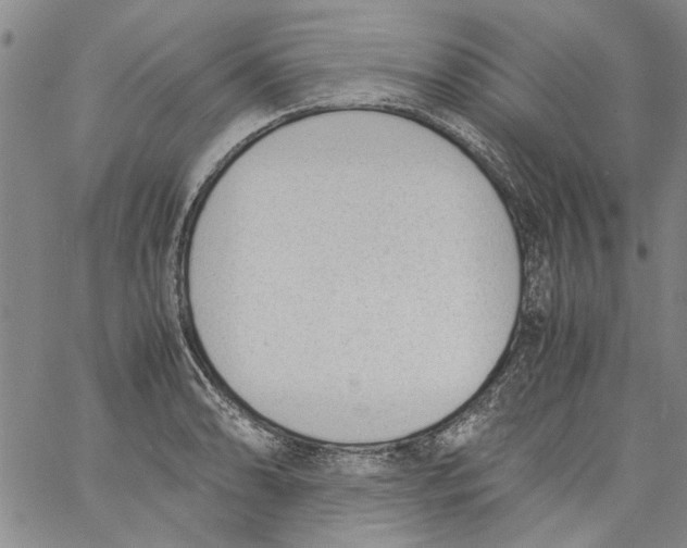 X0000060801086200512082144