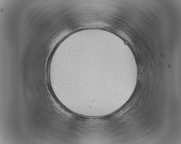 X0000060801087200512082144