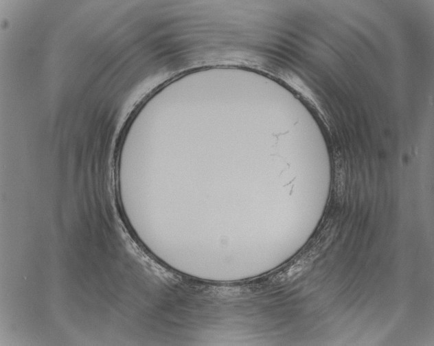 X0000060801088200512082144