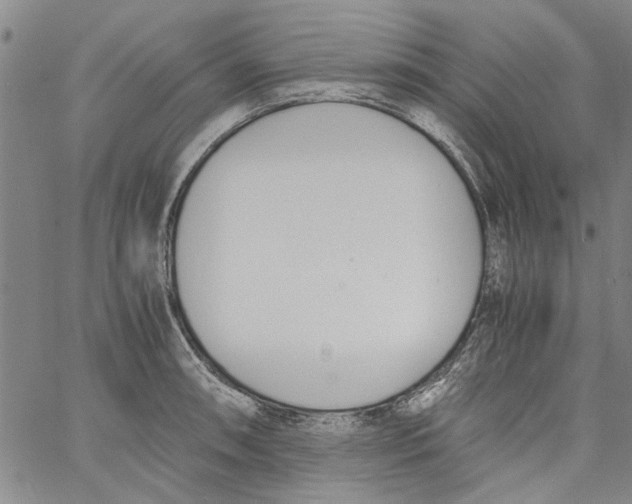 X0000060801090200512082144