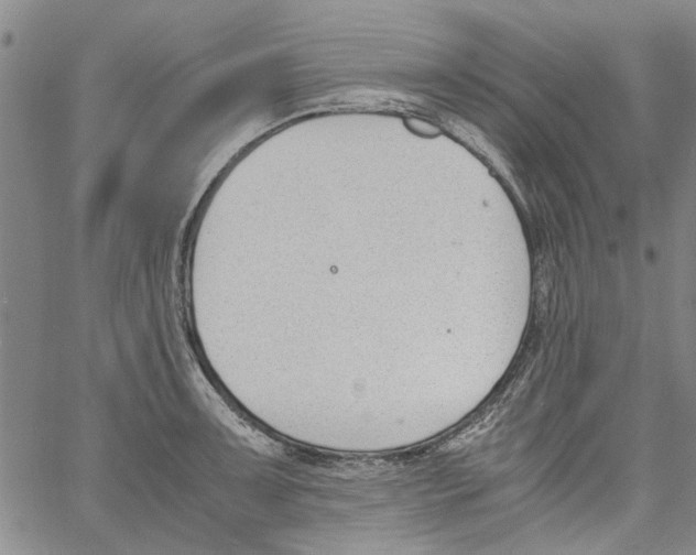 X0000060801091200512082144