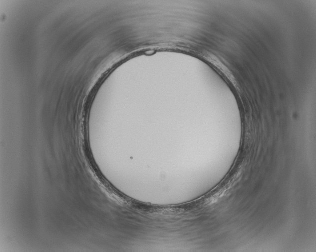 X0000060801093200512082144