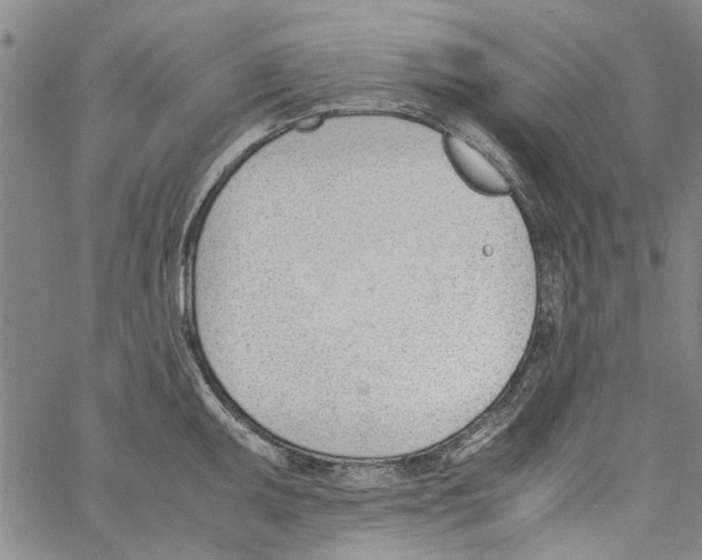 X0000060801095200512082144