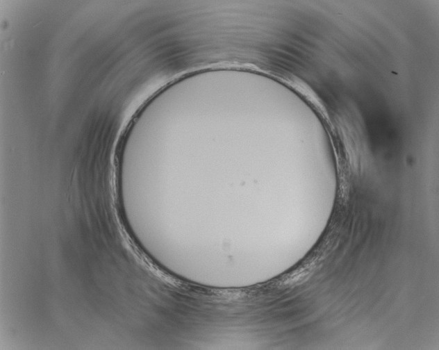 X0000060801096200512082144