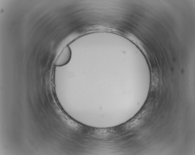 X0000060801098200512082143