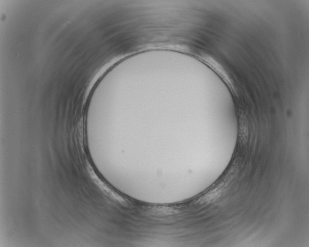 X0000060801100200512082143