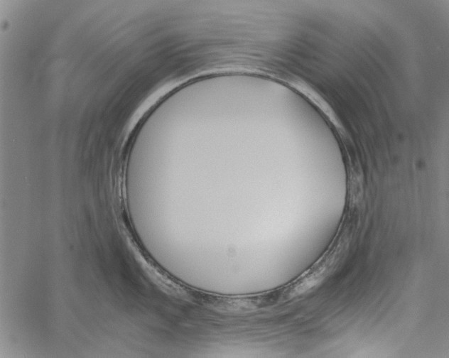 X0000060801101200512082143