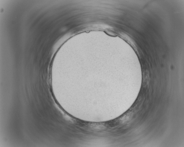 X0000060801103200512082143