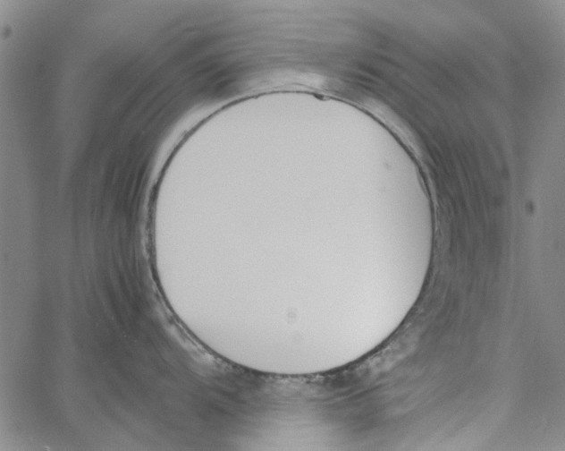 X0000060801104200512082143