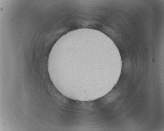 X0000060801105200512082143