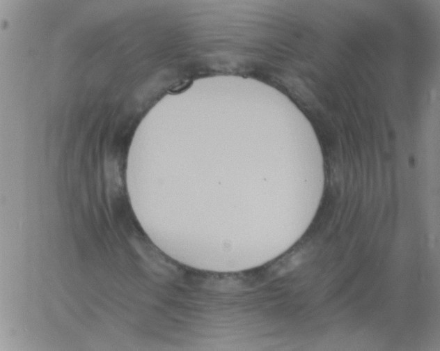 X0000060801106200512082143