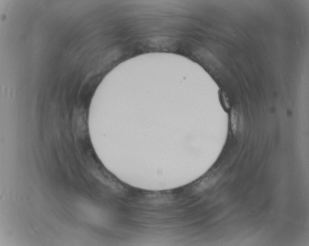 X0000060801107200512082143