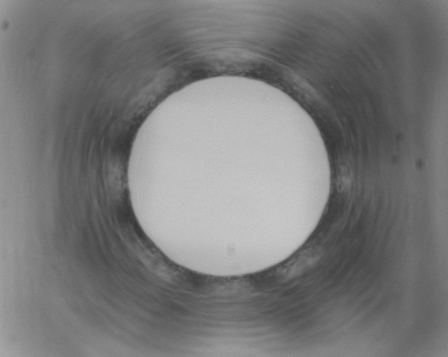 X0000060801108200512082143