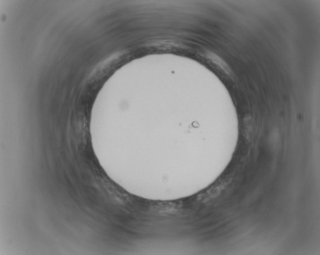 X0000060801111200512082143