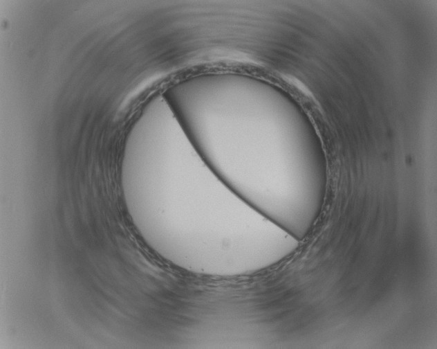 X0000060801112200512082143