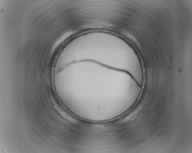 X0000060801114200512082143