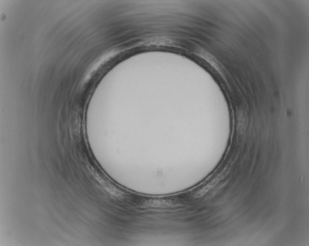 X0000060801115200512082143