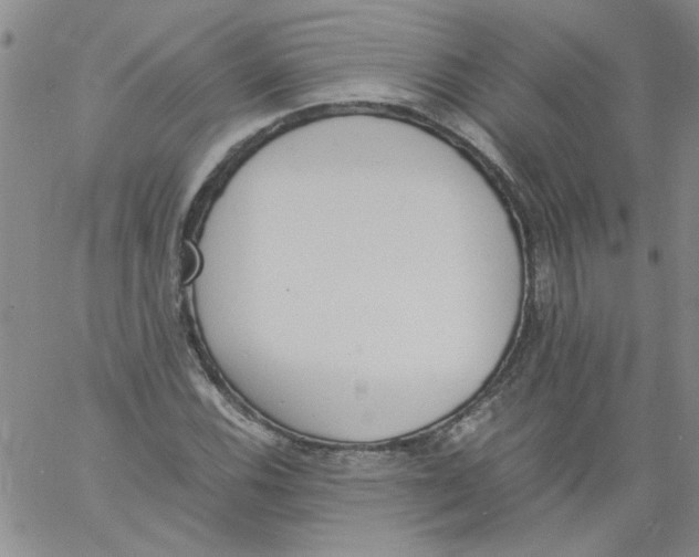 X0000060801116200512082143