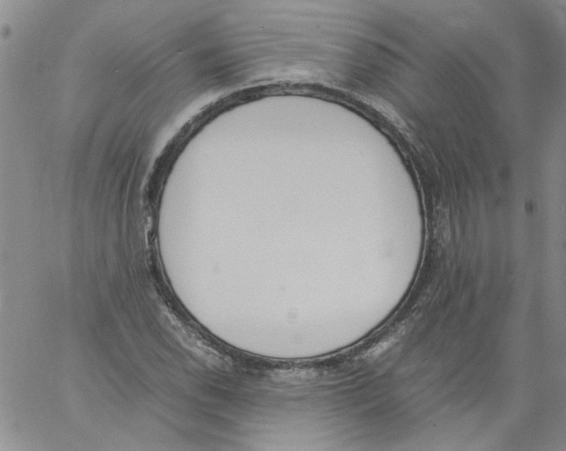 X0000060801118200512082143