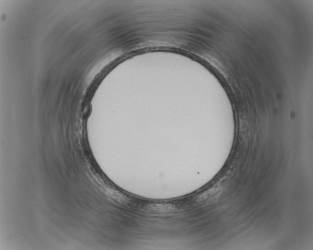 X0000060801119200512082143