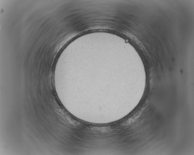 X0000060801121200512082143