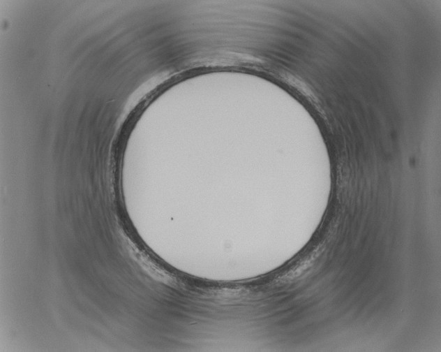 X0000060801122200512082143